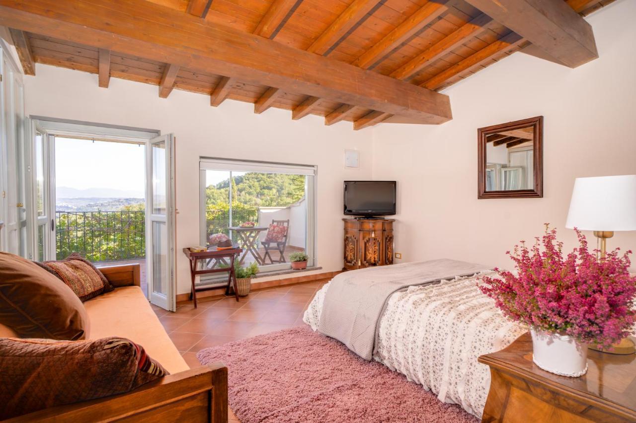 L'olivo Country & Resort Bassano in Teverina